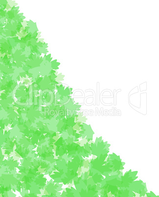 Spring leafs abstract border. vector background