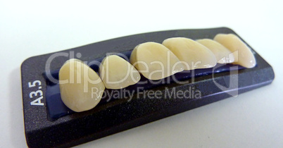 Upper resin teeth