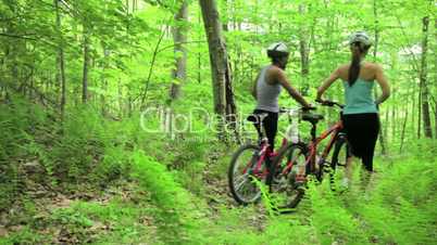 Bike Adventure - Cross-Media
