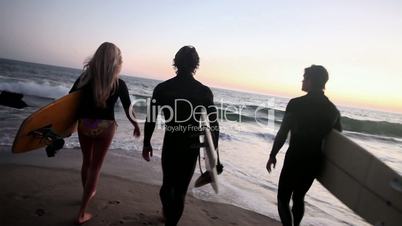 Summer Surf - Cross-Media
