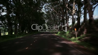 car on road in Kauai, Hawaii