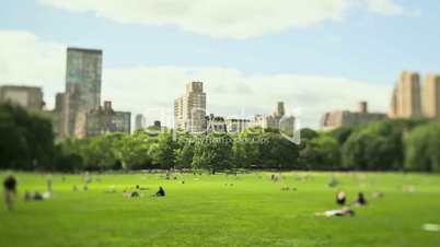 Central Park, New York, USA