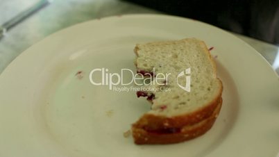 Person placing half eaten sandwich on plate