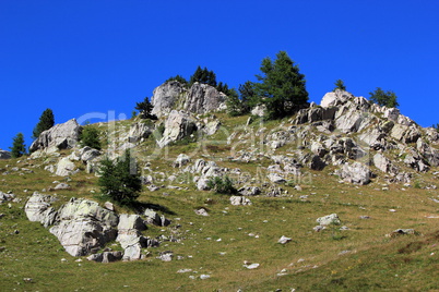 Nature at the Cayolle pass, France