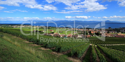 Terraced vineyards of Lavaux at Lake Geneva, Switzerland