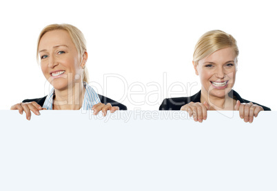 Portrait of smiling corporate women