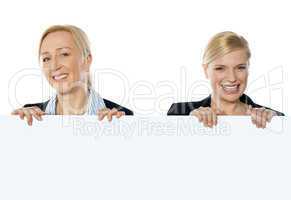 Portrait of smiling corporate women