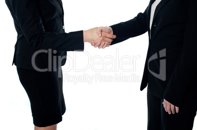 Business deal, handshake