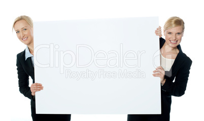 Female business representatives presenting blank banner ad