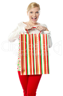 Happy shopping woman holding bag