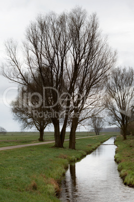 Bäume am Bach