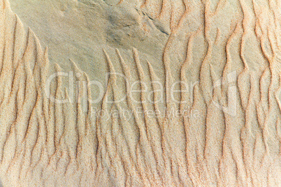 image of sand dunes