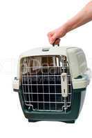 one hand holding a pet carrier
