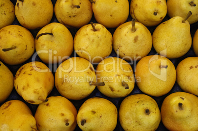 pears