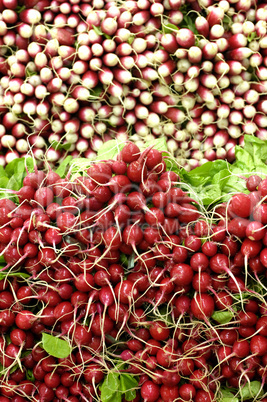 radishes on the market