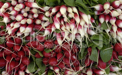 radishes on the market