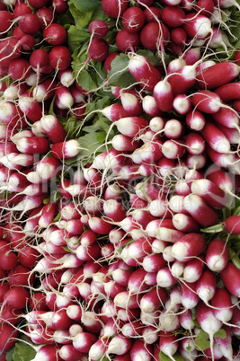 radishes on the market