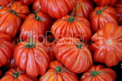 tomato