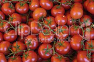 tomato