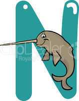 N for narwhal