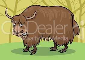 Yak bull