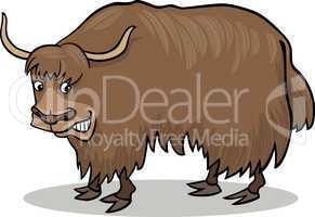 Yak bull