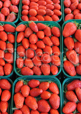 strawberry