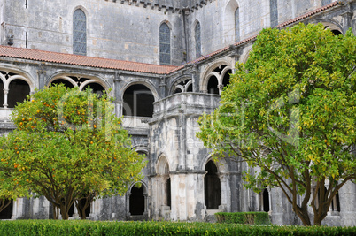 the cloister of Alcobaca monastery in Portugal