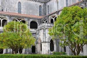 the cloister of Alcobaca monastery in Portugal