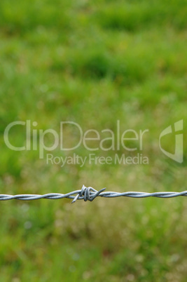 vertical picture of barbed wire in meadow