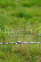 vertical picture of barbed wire in meadow