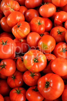 tomato