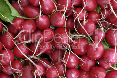 radishes on the market