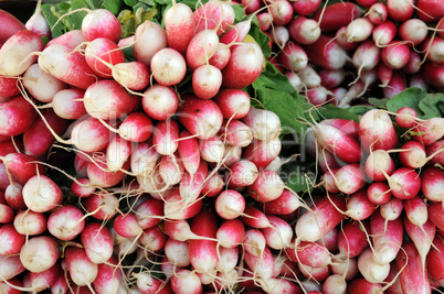 radishes on the market