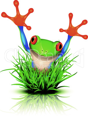 Little tree frog on grass