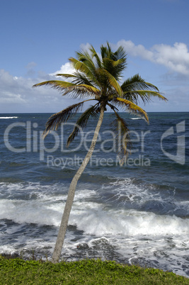 the coast of  Le Diamant in Martinique