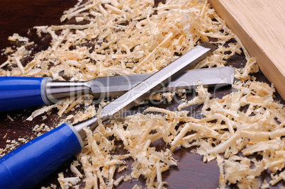 Wood shavings