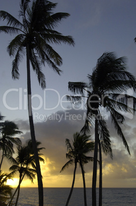 the coast of  Le Diamant in Martinique