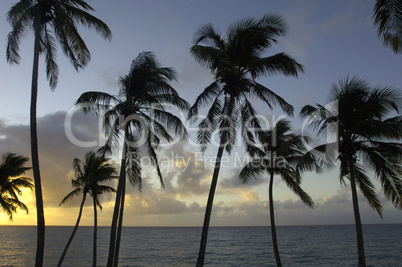 the coast of  Le Diamant in Martinique