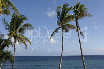 the coast of  Le Diamant in Martinique