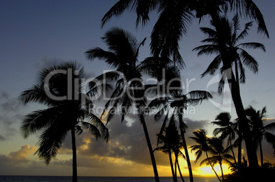 the coast of  Le Diamant in Martinique