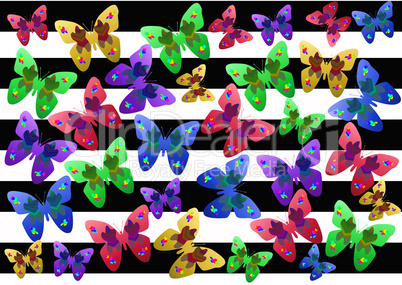 butterflies