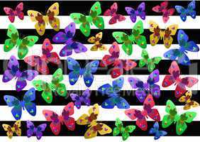 butterflies