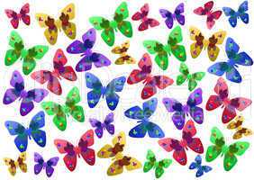 butterflies