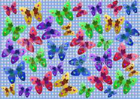 butterflies