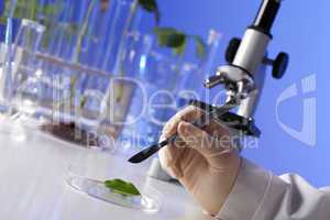 Green plants in biology laborotary