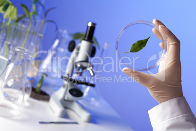 Green plants in biology laborotary