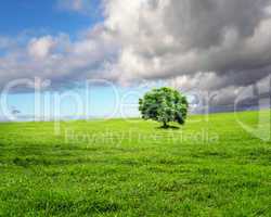 paintbrushes and landscape