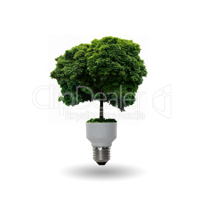 bulb with a tree