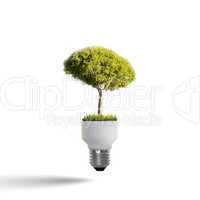 bulb with a tree